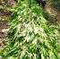 IMG-20230928-WA0015-800x600 - OrelTimes.Ru