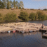 // Фото http://apk.orel-region.ru - Правительство Орловской области