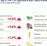 Динамика цен на продукты питания по данным Орёлстата - Орёл-регион