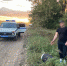 В Орловской области юноша и подросток ответят за кражу кроссовок у пьяного мужчины - РИА 57