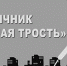 Идет месячник в поддержку людей с ослабленным зрением - Общественная палата