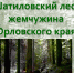 Природный вояж «Шатиловский лес – жемчужина Орловского края» (12+) - Научная универсальная библиотека им. И.А. Бунина