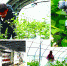 05 - Городская Газета
