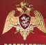 Орловские росгвардейцы озвучили ноябрьские итоги лицензионно-разрешительной работы - Росгвардия