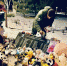 аллея (1) - OrelTimes.Ru