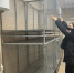 Приют без уюта - Орловский Вестник