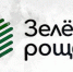 Депутаты Орловского горсовета задумали изменить терсхему и научить работать «Зелёную Рощу» - OrelTimes.Ru