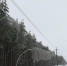 Энергетики из соседних областей помогают орловским коллегам - OrelGrad.Ru