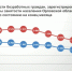 В Орловской области на поиск работников будет уходить всего одна неделя - OrelGrad.Ru