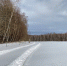 В орловские леса пустят изыскателей - OrelGrad.Ru