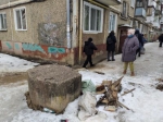Все прогнило!