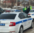 Под Орлом поймали 61 подозрительно темный автомобиль - OrelGrad.Ru