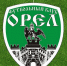 Сегодня состоится встреча ФК «Орёл» с болельщиками - Орёл-регион