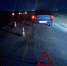 Под Орлом насмерть сбили пешехода - OrelGrad.Ru