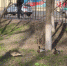 UbgJL6WQWDM[1] - OrelTimes.Ru