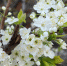 _cuva - OrelTimes.Ru