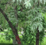 лох 2 - OrelTimes.Ru