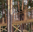 парк (1) - OrelTimes.Ru