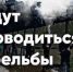 Под Орлом в июле засвистят пули - OrelTimes.Ru