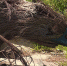 орел 1 - OrelTimes.Ru