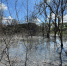 пруд_1 - OrelTimes.Ru