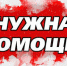 Орловцев просят приютить у себя домашних питомцев из Курской области - OrelTimes.Ru