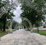 В горпарке Орла пояснили, зачем сняли забор - OrelGrad.Ru