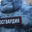 Новости Росгвардии: Ливенец нашёл на мусорке травматический пистолет - Орёл-регион