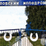 Клычков решил продать областной ипподром - OrelTimes.Ru