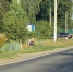 Лидер орловского отделения ЛДПР высмеял «импотентов во власти» - OrelGrad.Ru