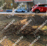 горпарк 1 - OrelTimes.Ru
