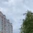 В Орловской области ожидается сильный ветер - РИА 57