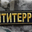 Четверо орловцев оказались в реестре террористов и экстремистов - OrelTimes.Ru
