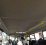 Жители Выгонки в Орле просят добавить им транспорта - InfoOrel.Ru