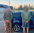 Организованных наркогрупп стало вдвое больше - OrelGrad.Ru