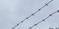 Ливенским депутатам рассказали о криминогенной обстановке - OrelGrad.Ru