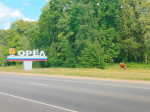 Правила содержания животных усовершенствуют на Орловщине