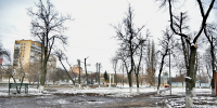 В Орле опилили деревья для «Судбищенской битвы» - OrelGrad.Ru