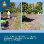 Орловскому округу не разрешили стереть с карты скотомогильники