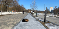 На Орловщине сохранится морозная погода - РИА 57