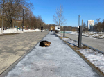 На Орловщине сохранится морозная погода