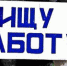 Власть представила амбициозный план борьбы с безработицей в Орловской области - OrelTimes.Ru