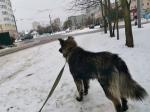 Главные новости в соцсетях Орла