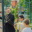 Древлехранитель Орловской епархии принял участие в видеоконференции по вопросам попечения о руинированных храмах и сохранении святынь - Орловская и Ливенская епархия
