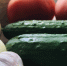 Россельхознадзору не понравились «Брызги шампанского» - РИА 57
