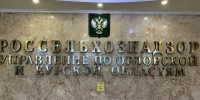В Ливнах вычислили сомнительные шаурмичные - OrelGrad.Ru