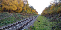 Молодого орловца признали виновным в госизмене - OrelGrad.Ru