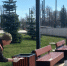 005 - Городская Газета