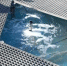 В Ливнах сломался новый сухой фонтан - Орловский Вестник