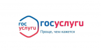 Каждый второй орловец пользуется Госуслугами - Орловский Вестник